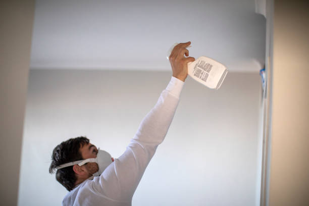 Best Mold Removal Company Near Me  in Millersburg, OR