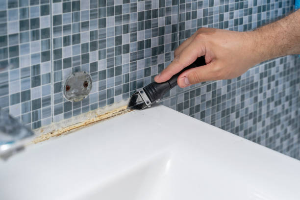 Best Residential Mold Removal  in Millersburg, OR